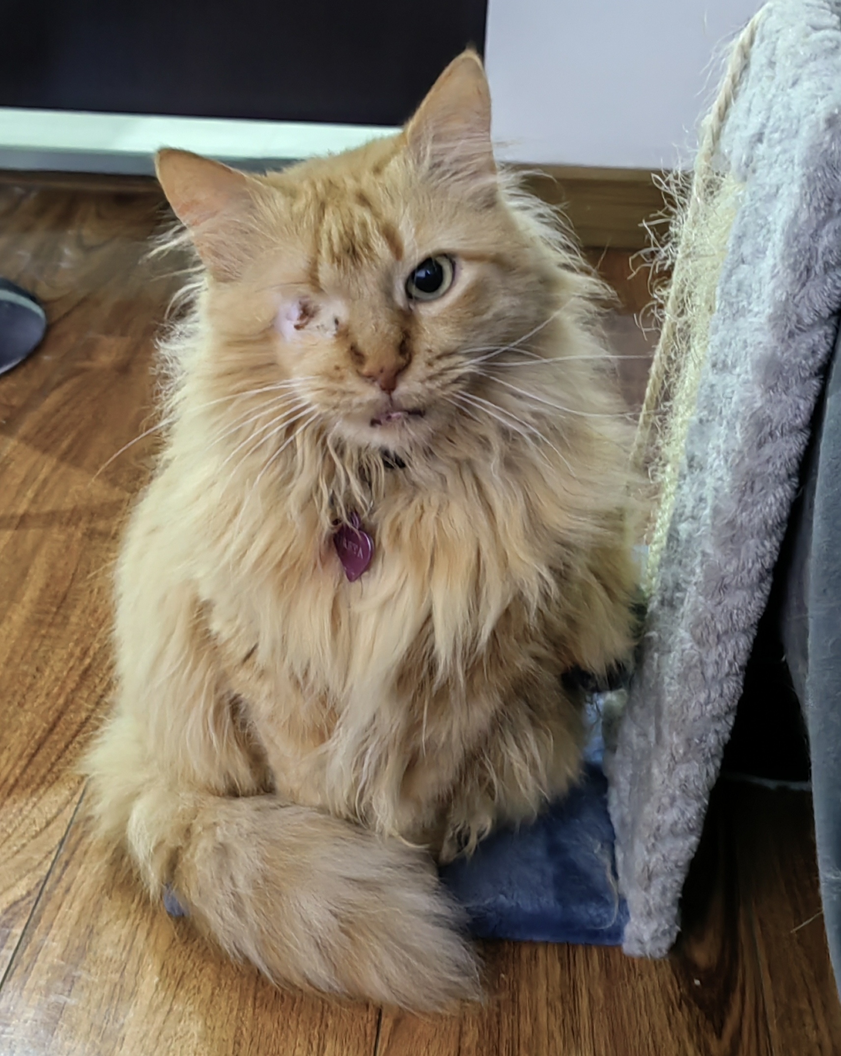 Greta